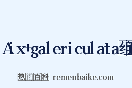 Aix+galericulata组词是什么意思的图片